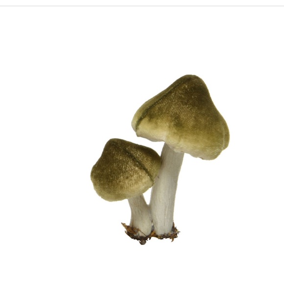 Anthropologie Green Mushroom Clip Decor - Picture 2 of 2